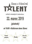 Talent Slavec Vidová 2019 